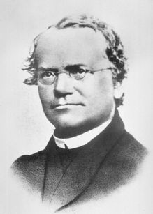 #12 Gregor Mendel (1822 – 1884)
